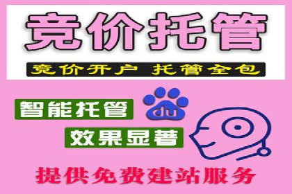 信息流平台案例研究：社交网络效应分析